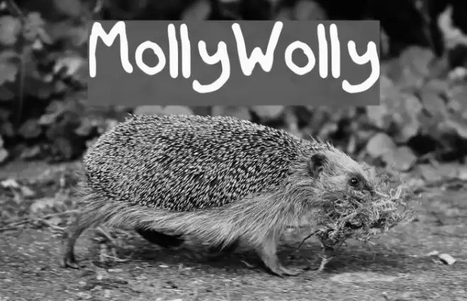 MollyWolly Font examples