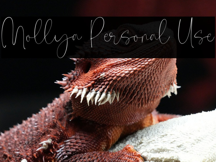 Mollya Personal Use Example 1