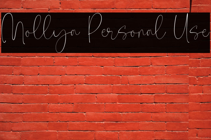 Mollya Personal Use Example 2