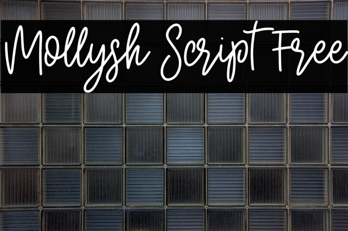 Mollysh Script Free Example 1