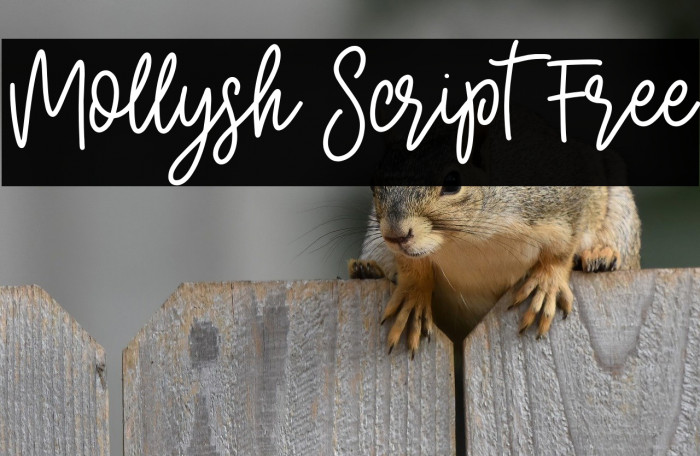 Mollysh Script Free Example 2