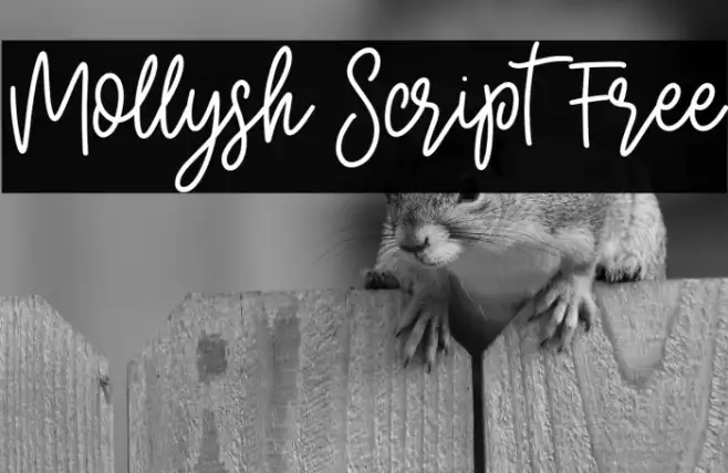 Mollysh Script Free Example 2