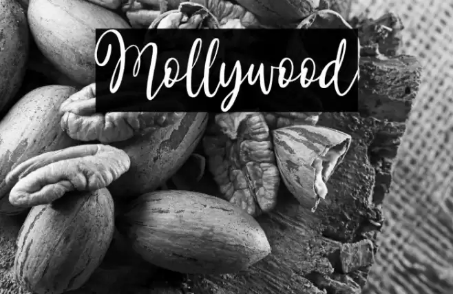 Mollywood Font examples