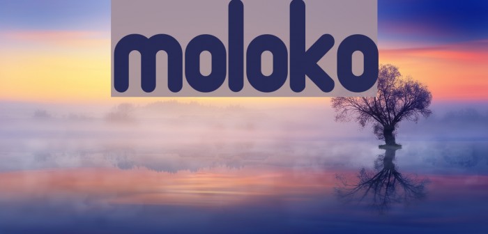 Moloko Font examples
