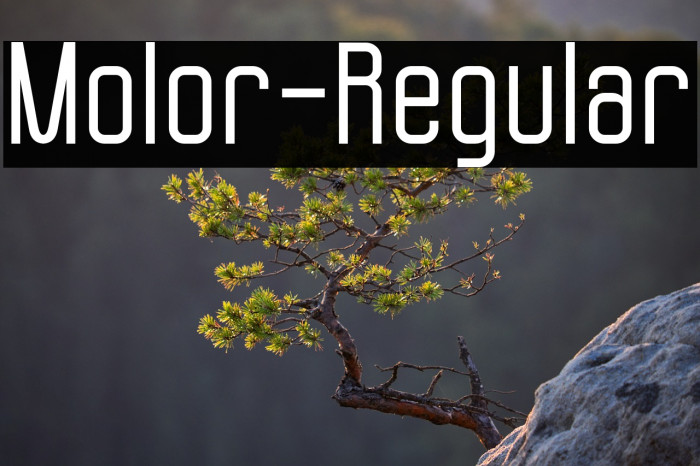 Molor-Regular Example 1