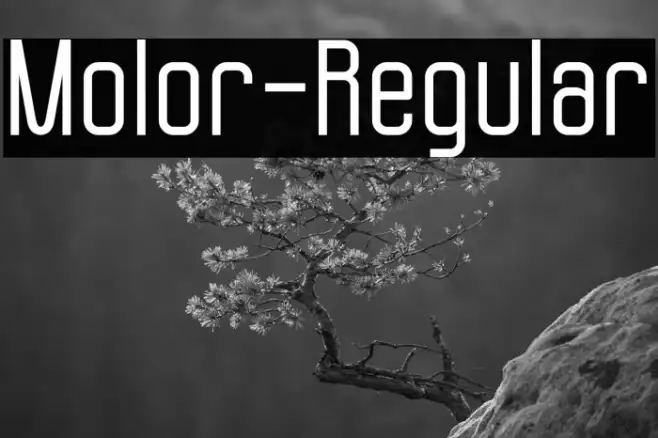 Molor-Regular Example 1