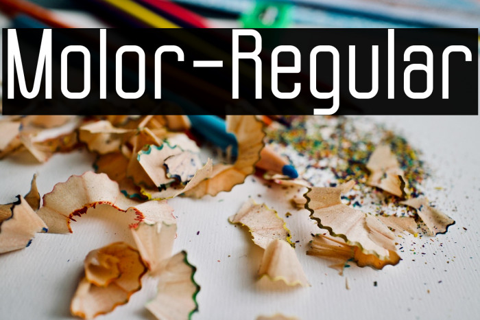 Molor-Regular Example 2