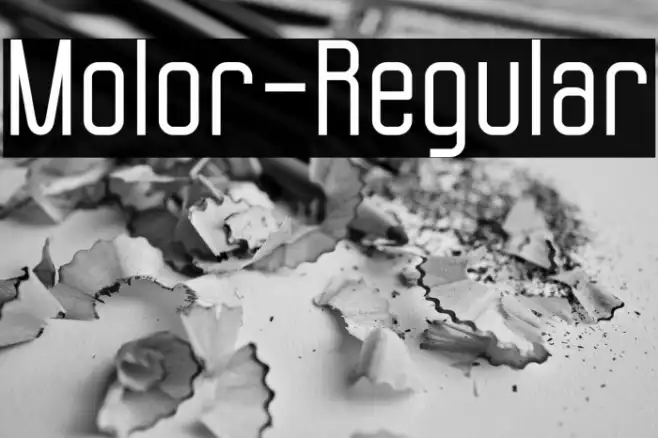 Molor-Regular Example 2