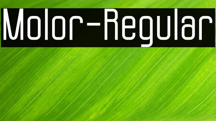 Molor-Regular Example 3