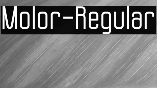 Molor-Regular Example 3