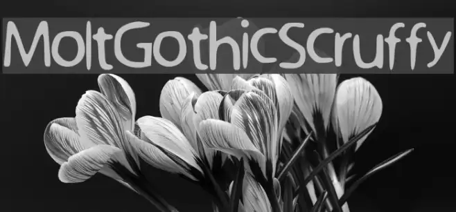 Molt_Gothic_Scruffy Example 1