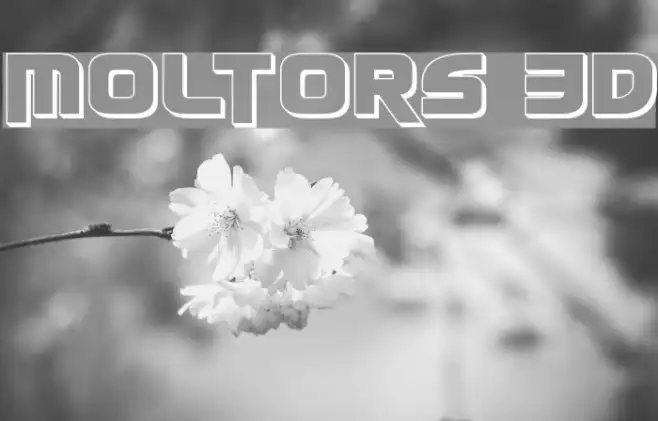 Moltors 3D Example 2