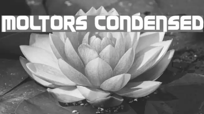 Moltors Condensed Example 1