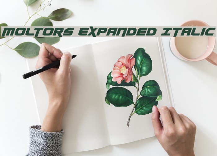 Moltors Expanded Italic Font examples