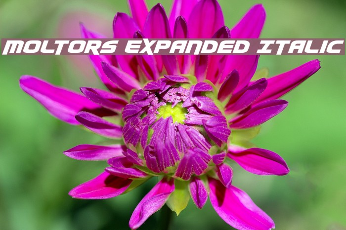 Moltors Expanded Italic Font examples
