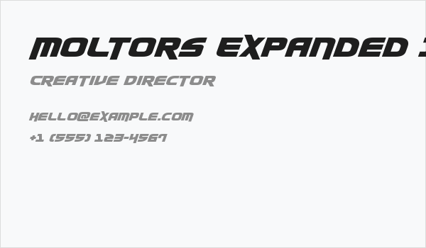 Moltors Expanded Italic Business Card