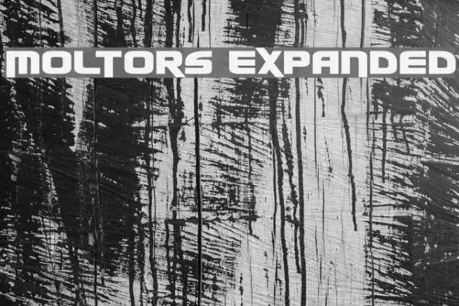 Moltors Expanded Example 1