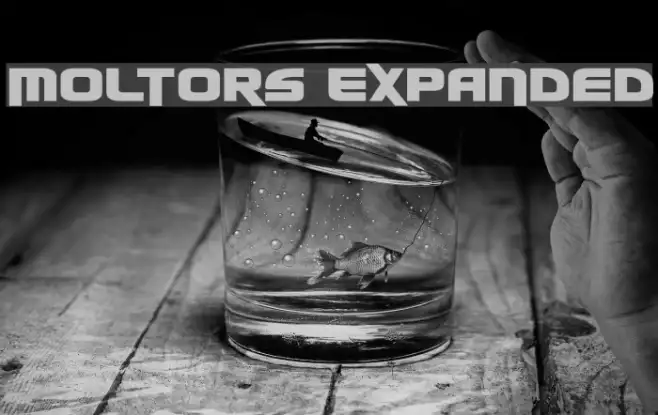 Moltors Expanded Example 3