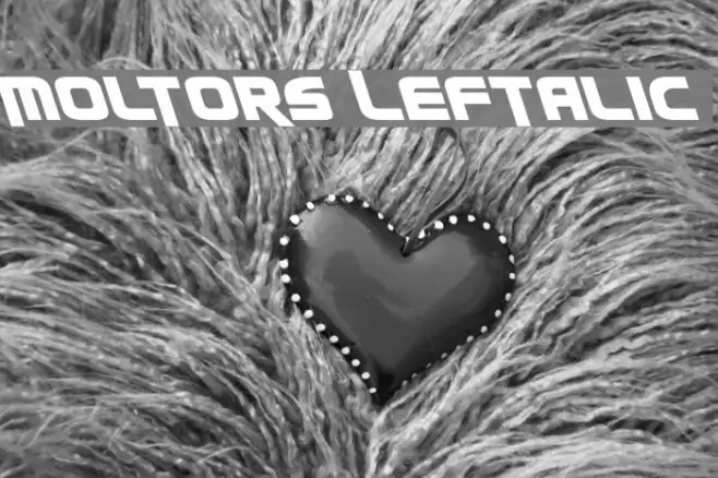 Moltors Leftalic Example 2
