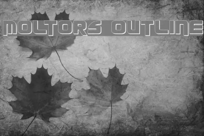 Moltors Outline Example 2