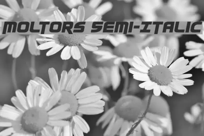 Moltors Semi-Italic Font examples