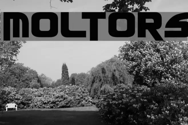 Moltors Font examples