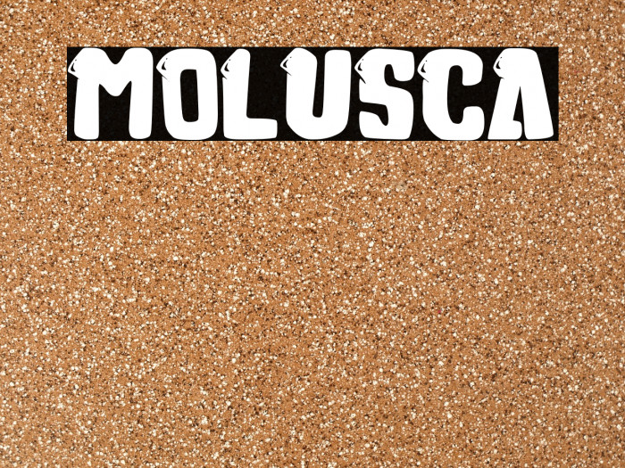 Molusca Font examples