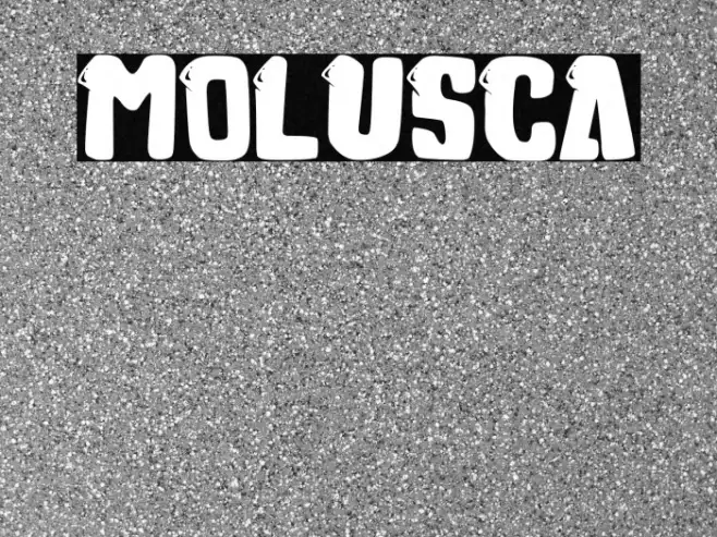 Molusca Example 1