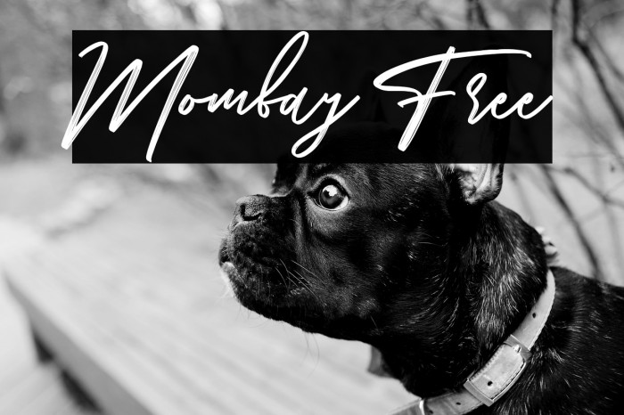 Mombay Free Example 2