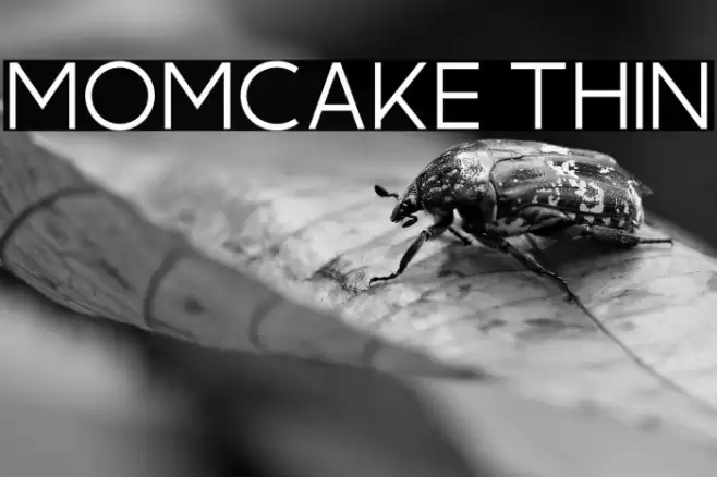 Momcake Thin Font examples