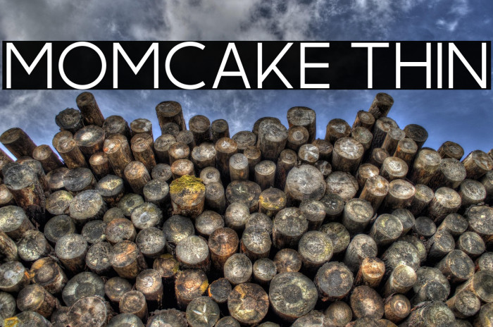 Momcake Thin Example 2