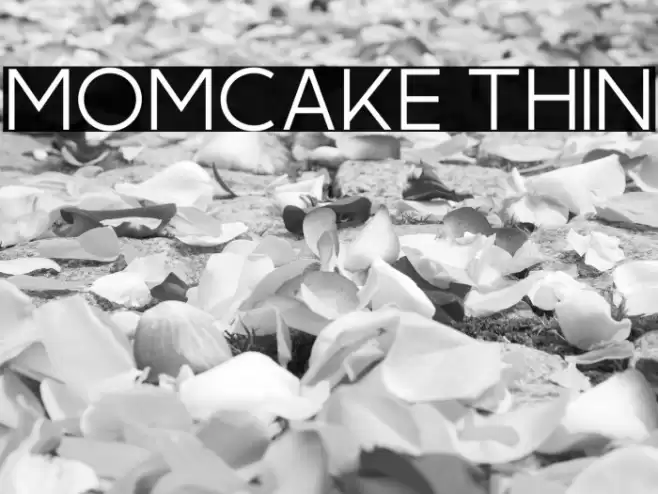 Momcake Thin Font examples