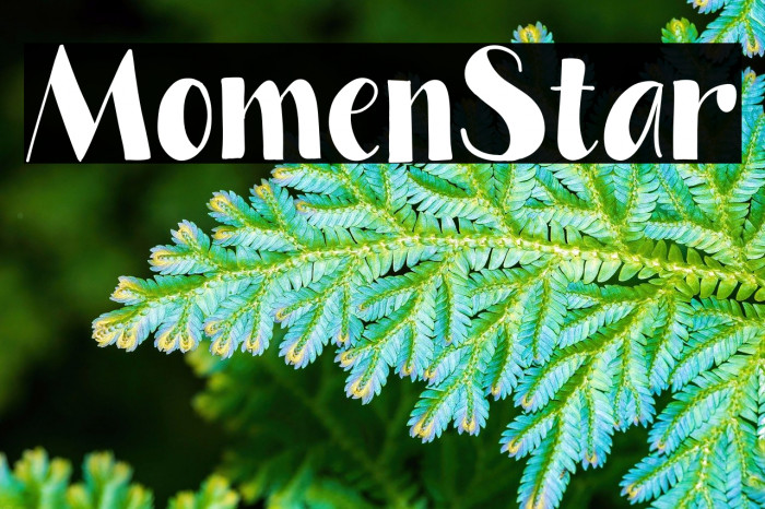 Momen Star Example 2