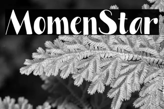 Momen Star Example 2