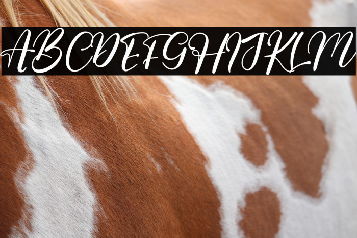 Moment Signature Example 1