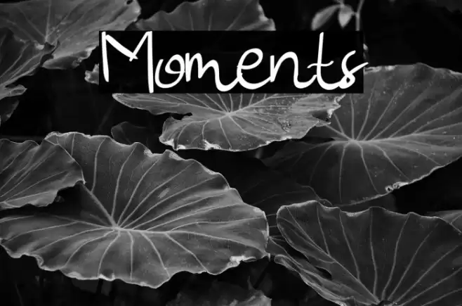 Moments Font examples