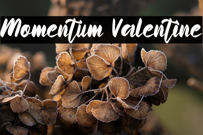 Momentum Valentine Example 2