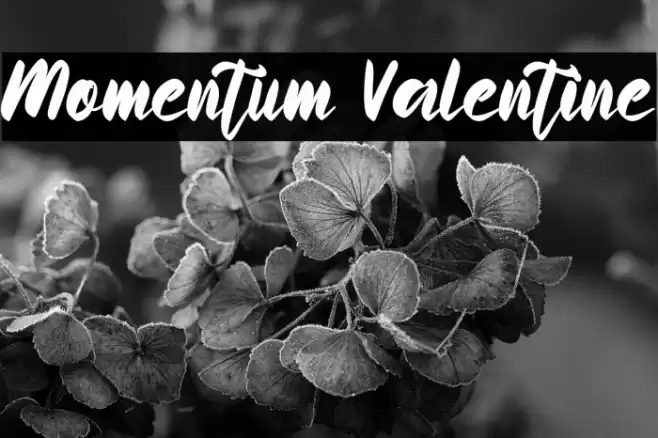 Momentum Valentine Font examples