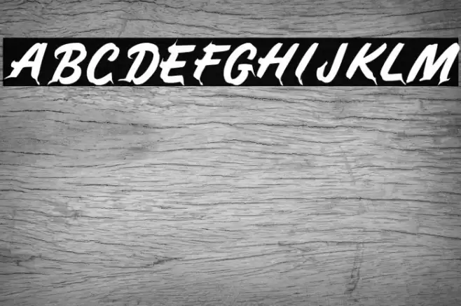 Momentum Font examples