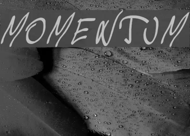 Momentum Font examples