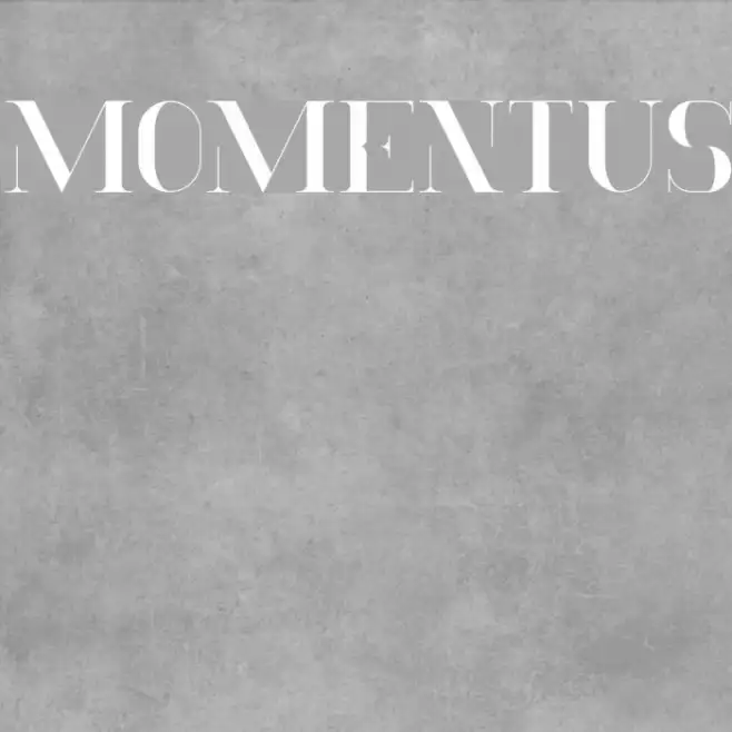 Momentus Example 1