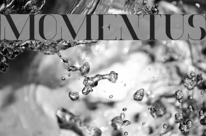 Momentus Example 2
