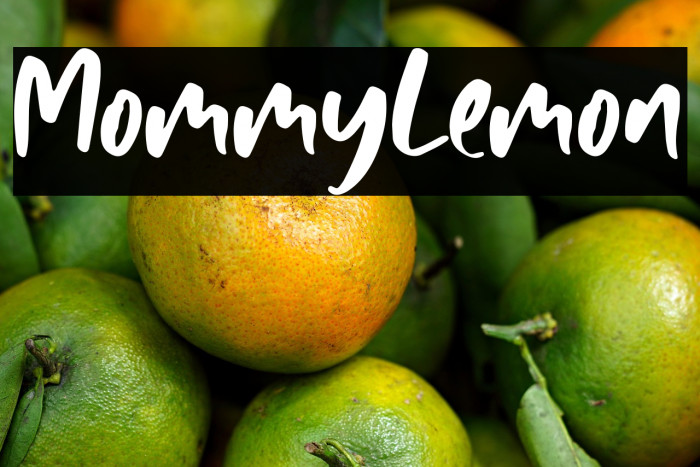 MommyLemon Example 3