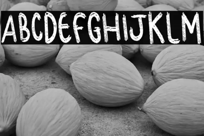 Momo And Coco Font examples