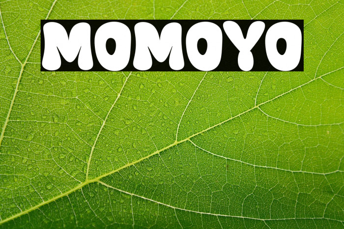 Momoyo Example 1