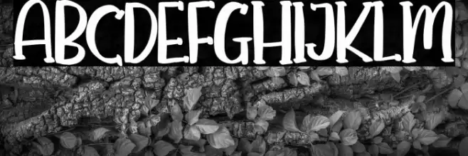 Moms Story Font examples