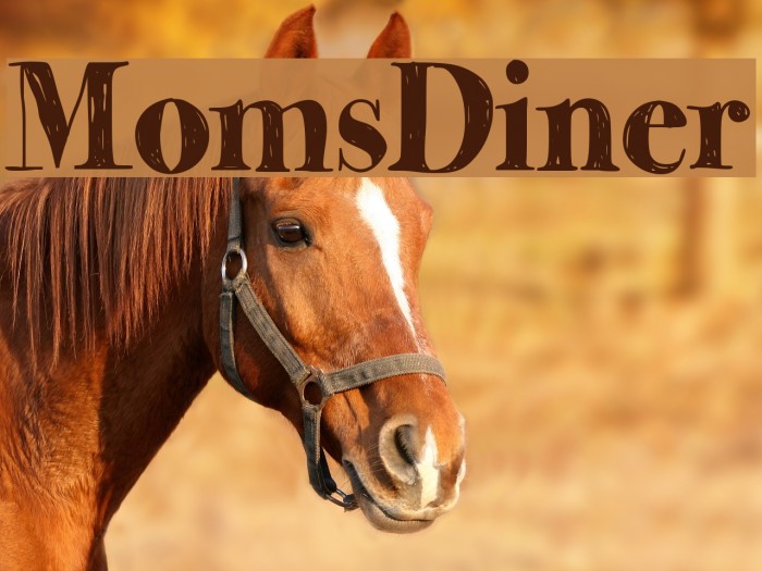 MomsDiner Font examples