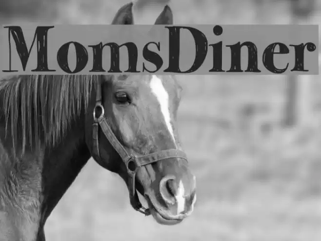 MomsDiner Font examples