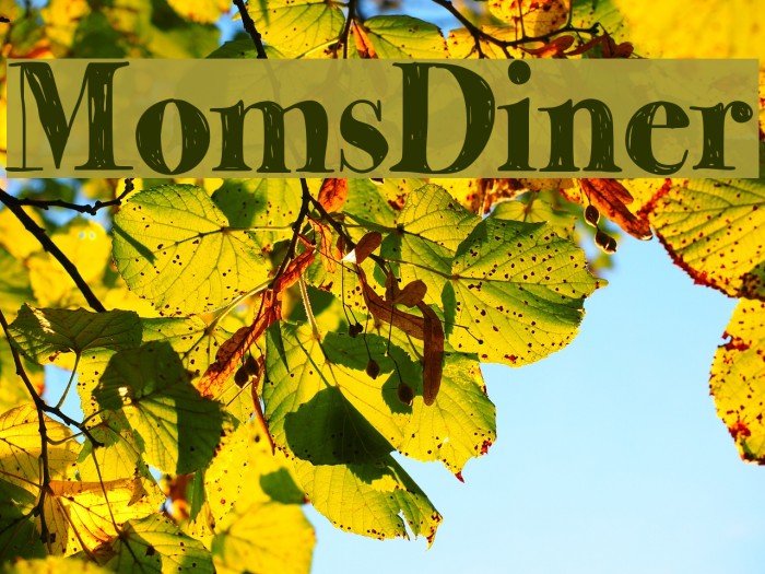 MomsDiner Font examples