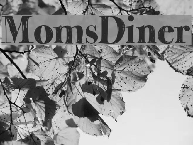 MomsDiner Font examples